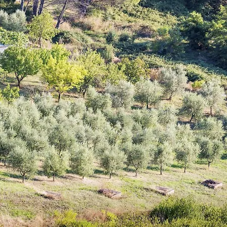 Tenuta Di Litiano * روكّاسترادا